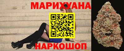 индика Кандалакша