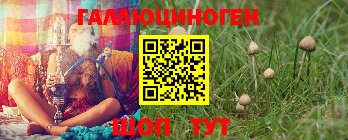 Псилоцибиновые грибы Cubensis  Вход с VPN  Курчатов 