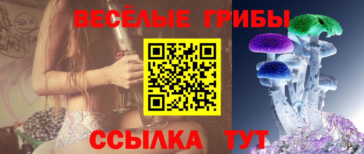 Псилоцибиновые грибы ЛСД Курчатов